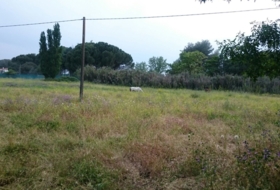 Foto 19