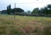 Finca rústica en venta en la Camino de la Zarzuela, Navalcarnero, ref: TR34691 foto