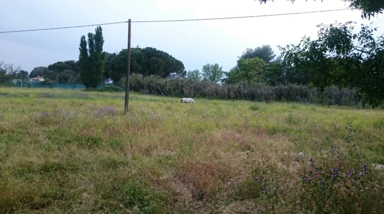 Comunidad de Madrid - Navalcarnero - 31455m2