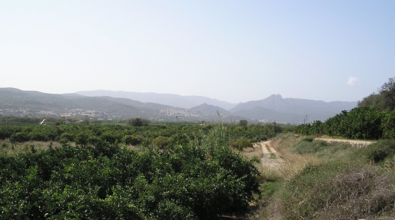 Alicante - Beniarbeig - 28340m2