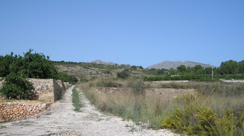 Alicante - Beniarbeig - 28340m2