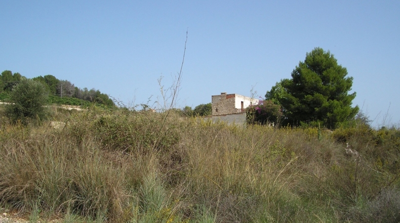 Alicante - Beniarbeig - 28340m2