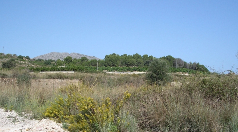 Alicante - Beniarbeig - 28340m2