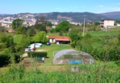 Land with storage building for sale on Rua Reguiña, Pontevedra, ref: TR34907 photo
