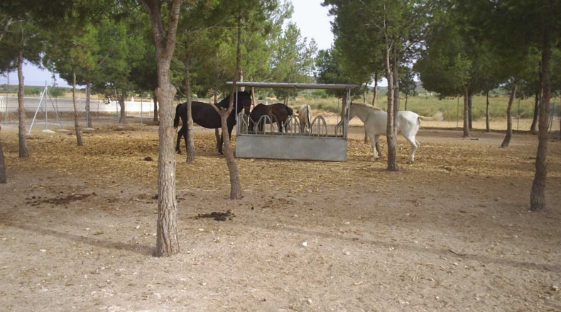Murcia - Yecla - 40000m2