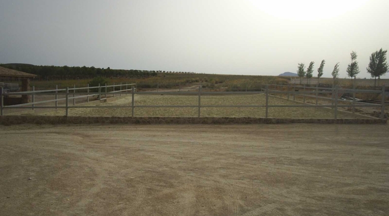 Murcia - Yecla - 40000m2