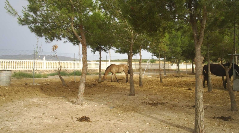 Murcia - Yecla - 40000m2