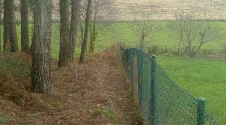 Asturias - El Esteler - 1500m2