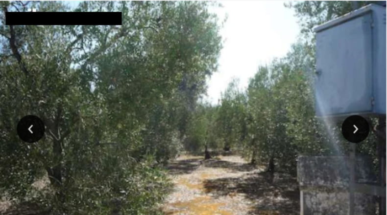 Sevilla - Sanlúcar la Mayor - 4000m2