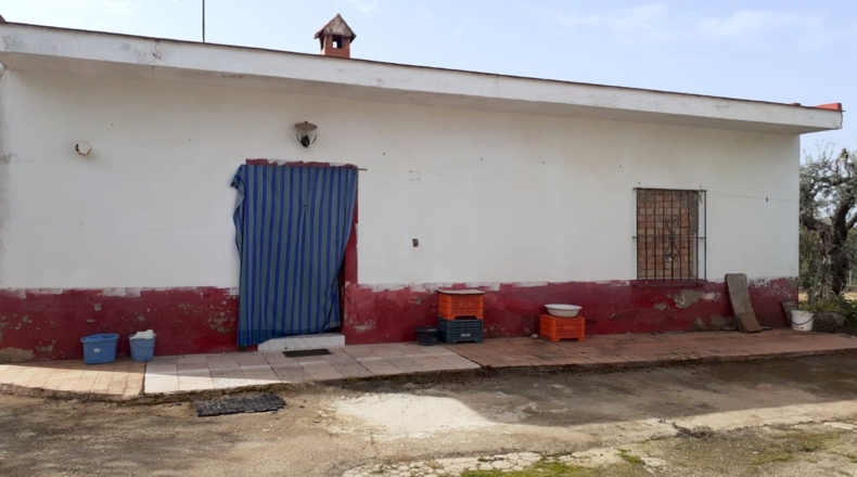 Sevilla - Sanlúcar la Mayor - 4000m2