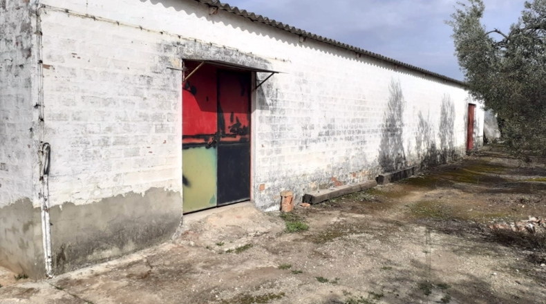 Sevilla - Sanlúcar la Mayor - 4000m2