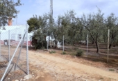 Finca rústica en venda a la La Choza, Sanlúcar la Mayor, ref.: TR35010 foto