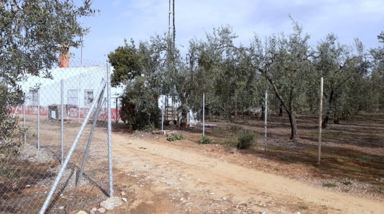 Sevilla - Sanlúcar la Mayor - 4000m2
