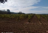 Terreny no urbanitzable en venda a la Santa Magdalena, Castellet, ref.: TR35603 foto