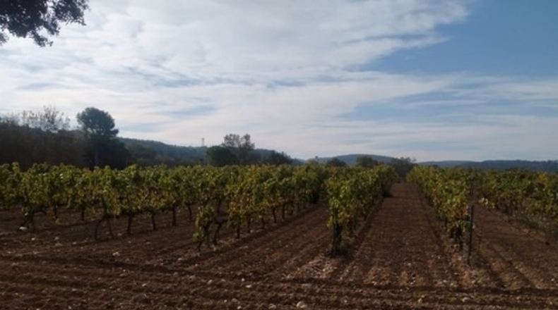 Barcelona - Castellet - 27000m2
