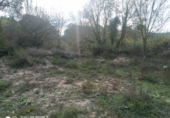 Terreny no urbanitzable en venda a la Santa Magdalena, Castellet, ref.: TR35603 foto