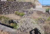 Terreny amb magatzem en venda a la La Palma, El Socorro, ref.: TR35651 foto