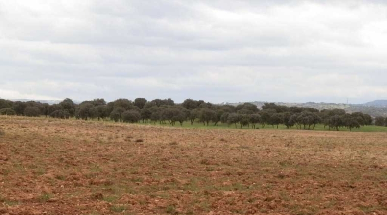Toledo - Escalona - 1500000m2