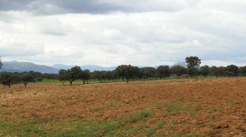 Toledo - Escalona - 1500000m2