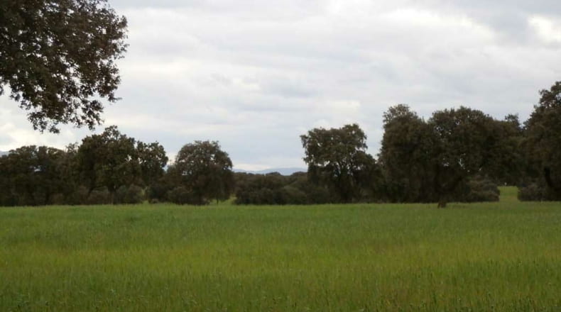 Toledo - Escalona - 1530000m2
