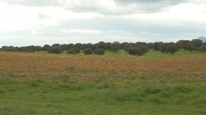 Toledo - Escalona - 1530000m2
