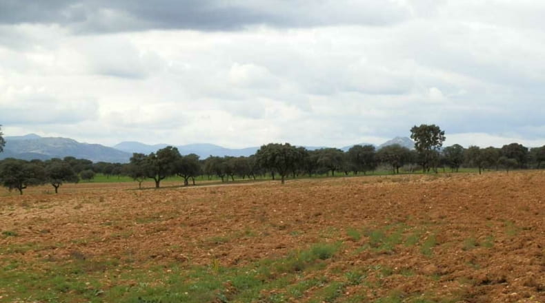 Toledo - Escalona - 1530000m2