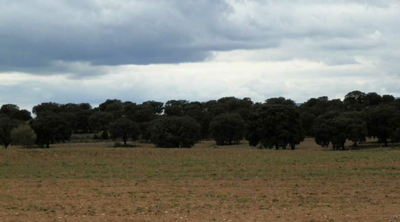 Toledo - Escalona - 1530000m2