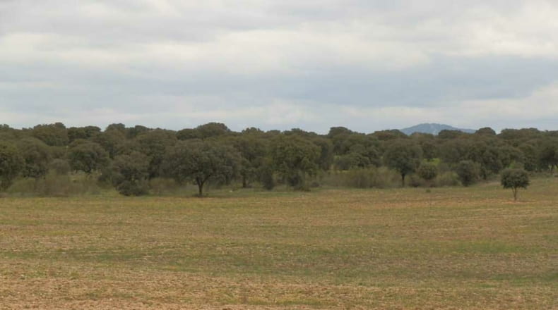 Toledo - Escalona - 1530000m2