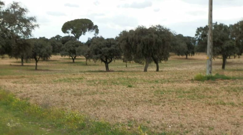 Toledo - Escalona - 1530000m2