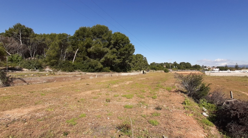 Valencia - Bétera - 12000m2