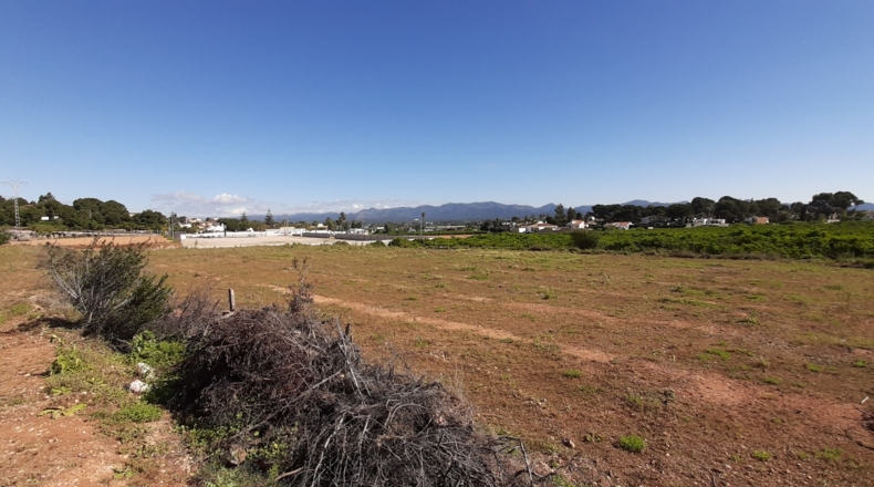 Valencia - Bétera - 12000m2