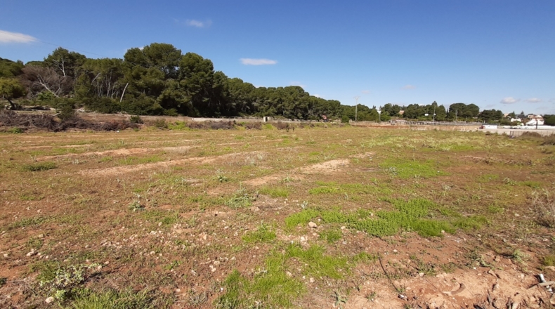 Valencia - Bétera - 12000m2