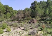 Land suitable for development for sale on El Berro Alhama de Murcia, El Berro, ref: TR37090 photo