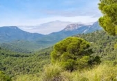 Land suitable for development for sale on El Berro Alhama de Murcia, El Berro, ref: TR37090 photo