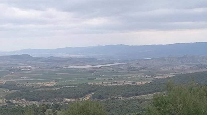Murcia - El Berro - 10000m2