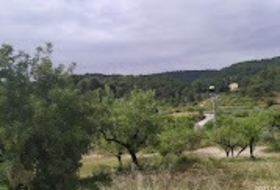 Foto 14