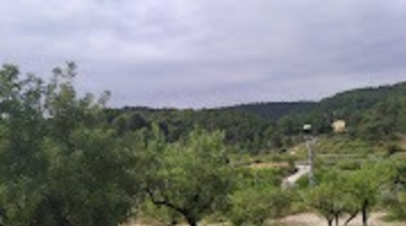 Murcia - El Berro - 10000m2