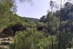 Foto 16