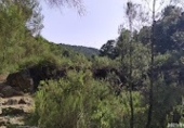 Land suitable for development for sale on El Berro Alhama de Murcia, El Berro, ref: TR37090 photo