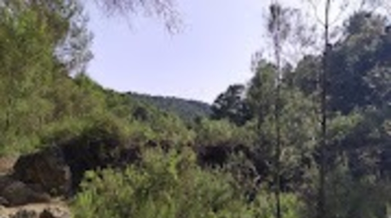 Murcia - El Berro - 10000m2