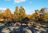 Land suitable for development for sale on ESTRELLA IZAR, Garrafe de Torío, ref: TR37280 photo