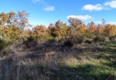 Land suitable for development for sale on ESTRELLA IZAR, Garrafe de Torío, ref: TR37280 photo