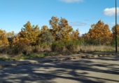 Land suitable for development for sale on ESTRELLA IZAR, Garrafe de Torío, ref: TR37280 photo
