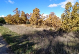 Foto 19