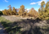 Land suitable for development for sale on ESTRELLA IZAR, Garrafe de Torío, ref: TR37280 photo