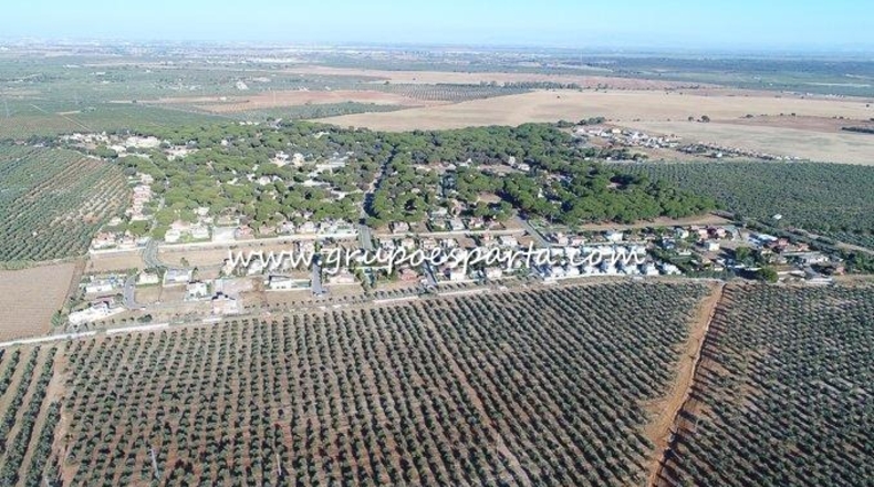 Sevilla - Bollullos de la Mitación - 770m2