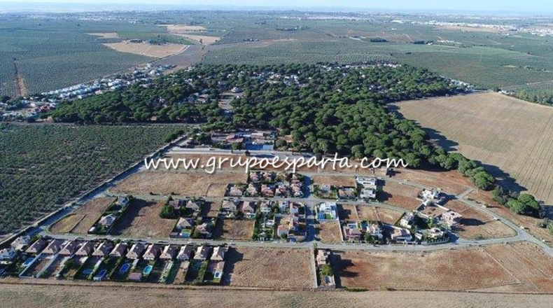 Sevilla - Bollullos de la Mitación - 770m2