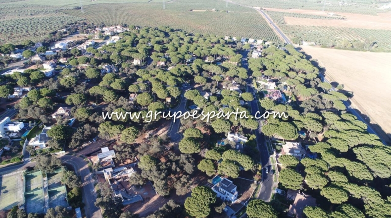 Sevilla - Bollullos de la Mitación - 770m2