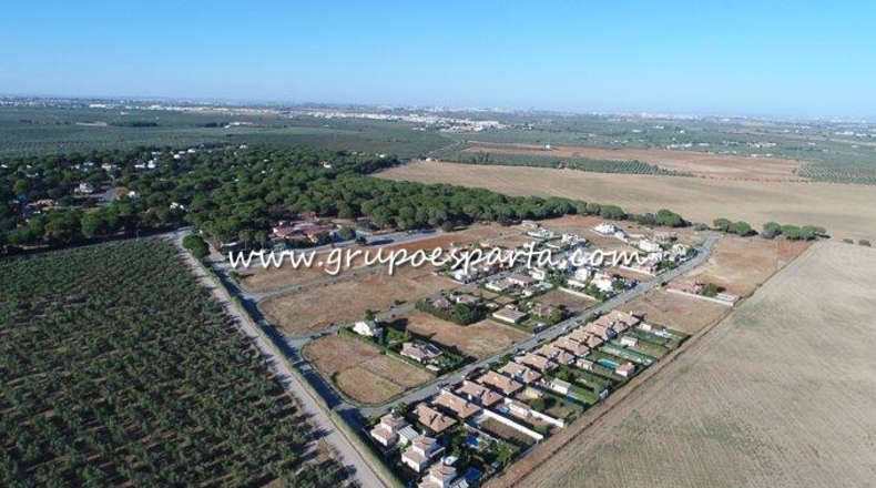 Sevilla - Bollullos de la Mitación - 770m2