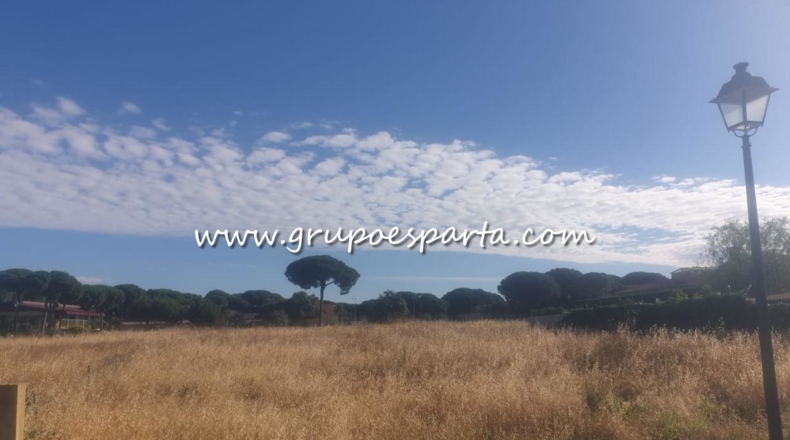 Sevilla - Bollullos de la Mitación - 770m2